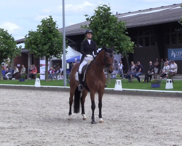 Reitturnier Fröndenberg 2024