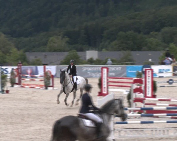 Springturnier Seewalchen 2024