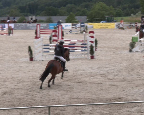 Springturnier Seewalchen 2024