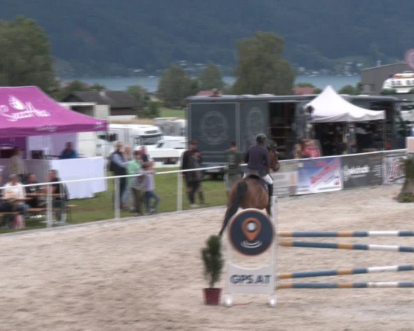 Springturnier Seewalchen 2024