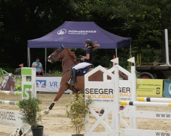Reitturnier Heddesheim 2024