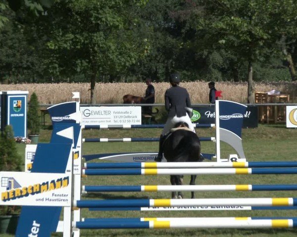 Reitturnier Delbrück-Ostenland 2024