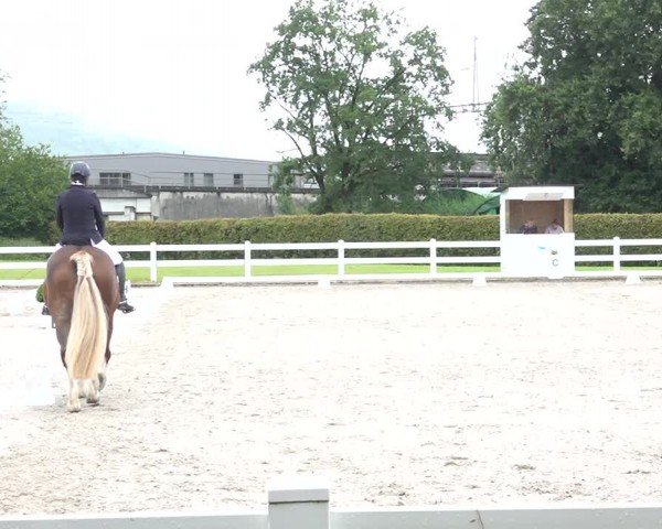 Reitturnier Hüntwangen 2024