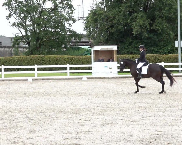 Reitturnier Hüntwangen 2024
