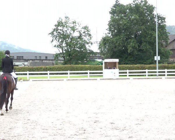Reitturnier Hüntwangen 2024