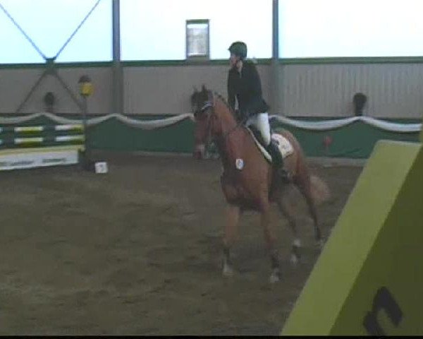 PLS Arnsberg-Vosswinkel 2013