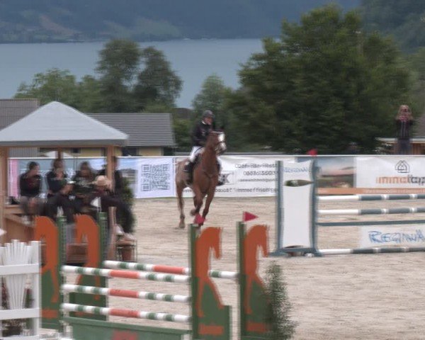 Springturnier Seewalchen 2024
