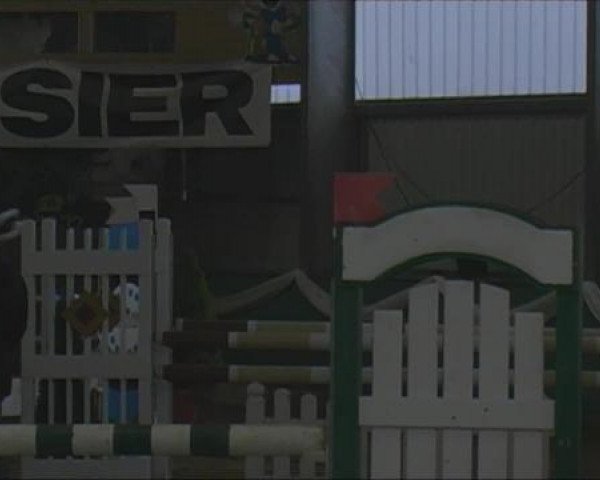 PLS Arnsberg-Vosswinkel 2013