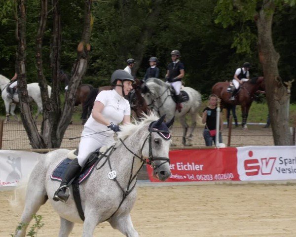 Reitturnier Heddesheim 2024