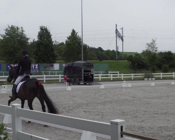 Reitturnier Hüntwangen 2024