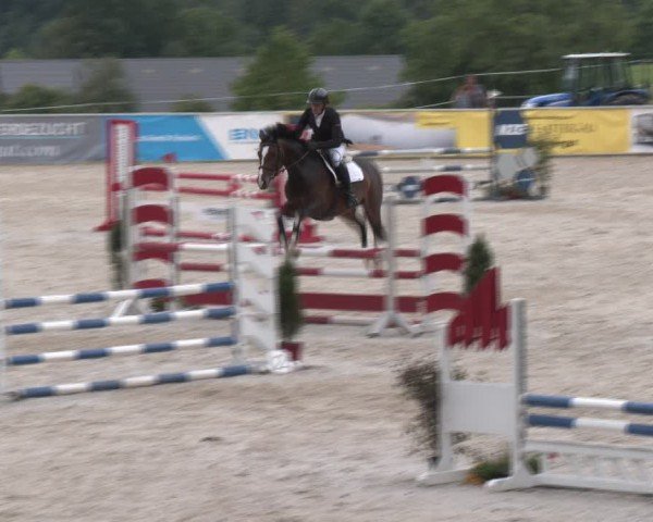 Springturnier Seewalchen 2024