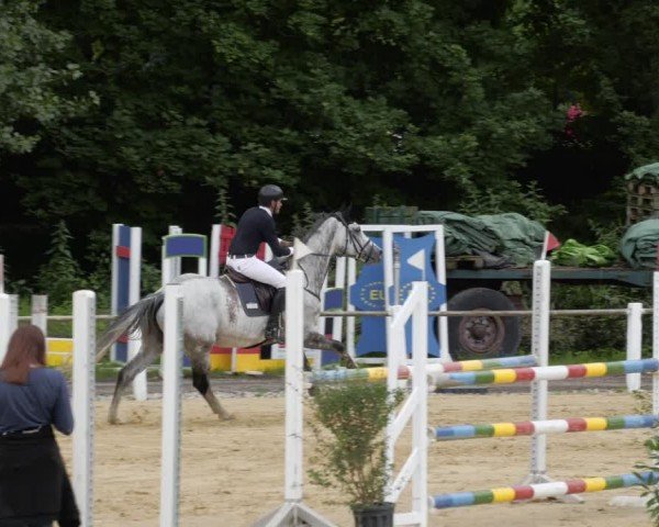 Reitturnier Heddesheim 2024
