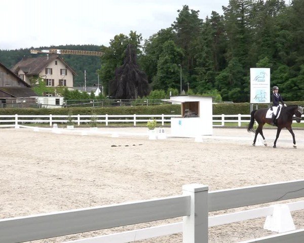 Reitturnier Hüntwangen 2024