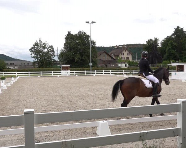 Reitturnier Hüntwangen 2024