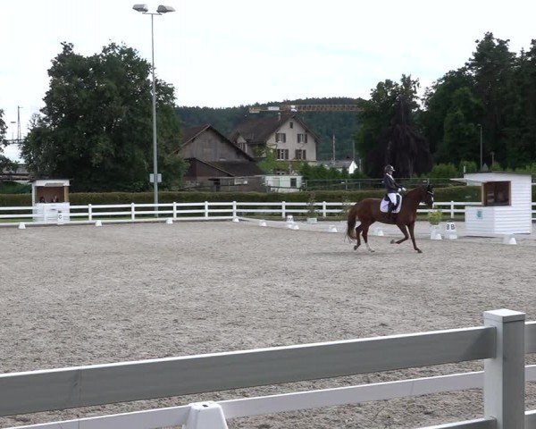 Reitturnier Hüntwangen 2024