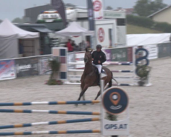 Springturnier Seewalchen 2024