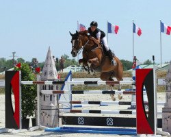 jumper Dundee Odeveld (Belgian Warmblood, 2003, from Heartbreaker)