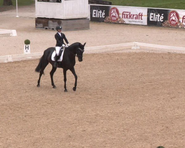 Dressurturnier Stadl Paura 2024