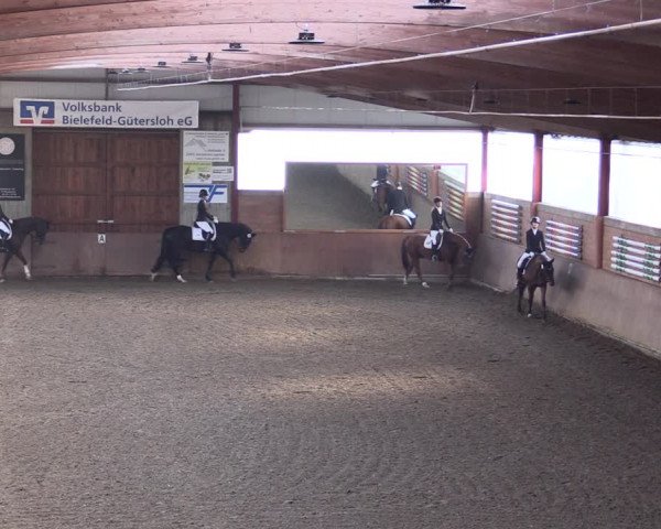 Reitturnier Herzebrock-Rheda 2021