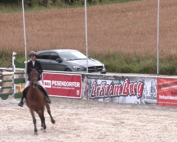 Springturnier Seewalchen 2024
