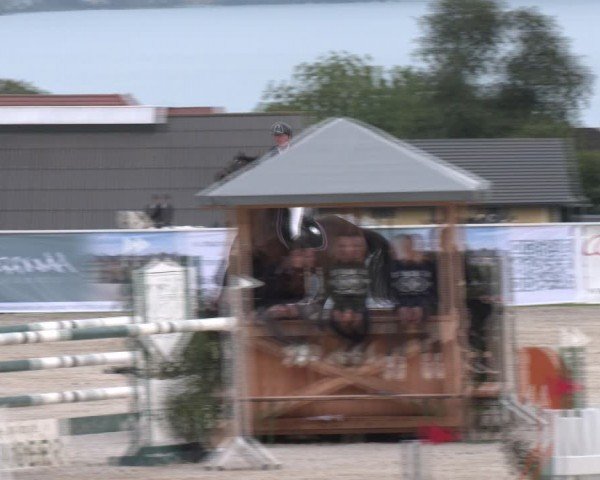 Springturnier Seewalchen 2024
