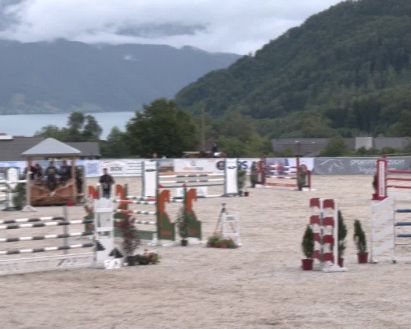 Springturnier Seewalchen 2024
