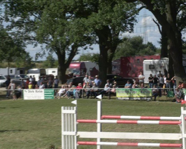 Reitturnier Ihleburg 2024