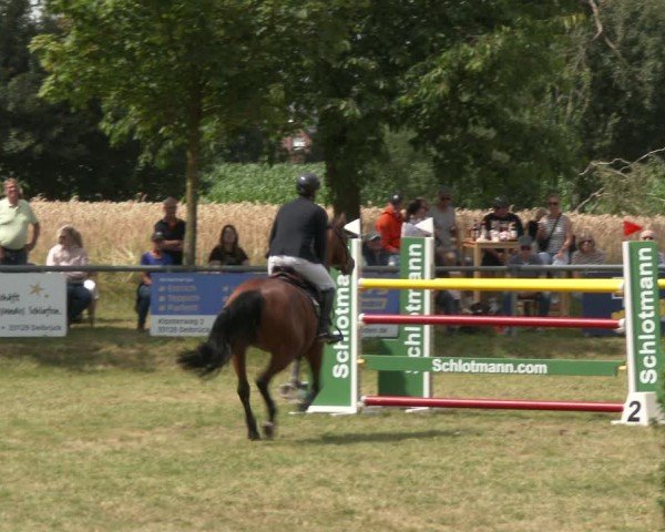 Reitturnier Delbrück-Ostenland 2024