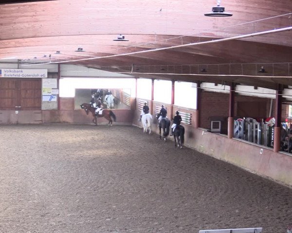 Reitturnier Herzebrock-Rheda 2021