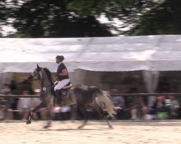 Reitturnier Görlsdorf 2024