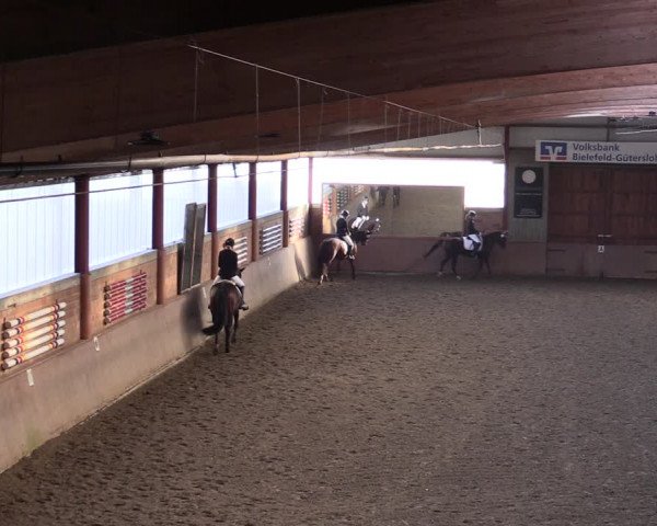Reitturnier Herzebrock-Rheda 2021