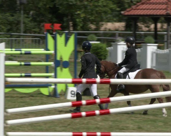 Reitturnier Delbrück-Ostenland 2024