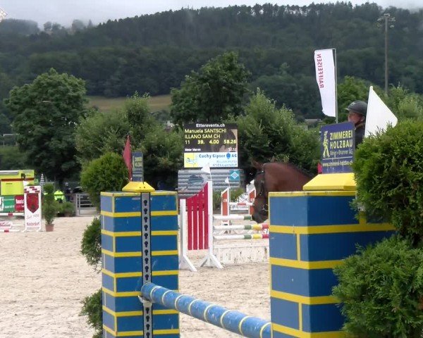 Reitturnier Balsthal 2024