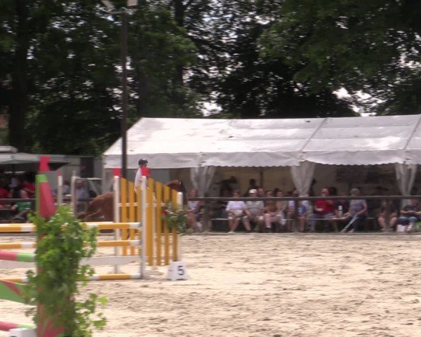 Reitturnier Görlsdorf 2024