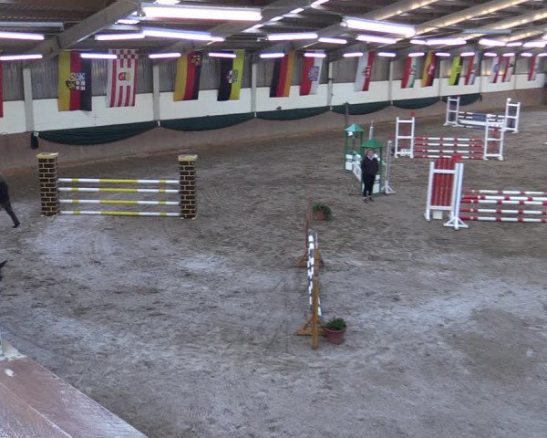 Reitturnier Wollersleben 2021