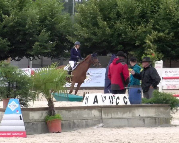 Reitturnier Balsthal 2024