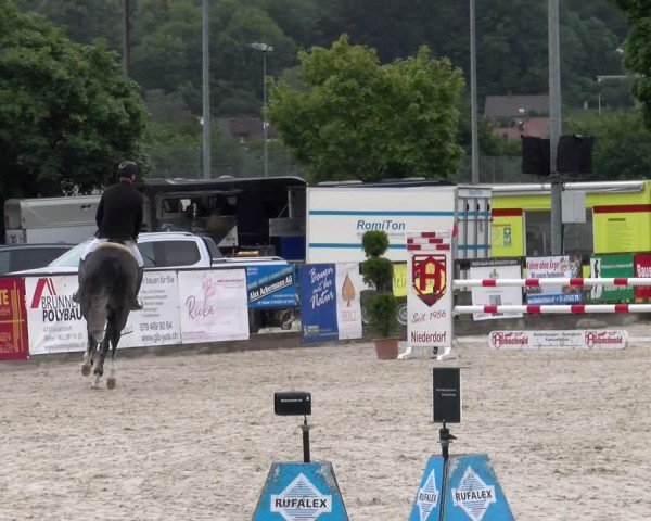 Reitturnier Balsthal 2024