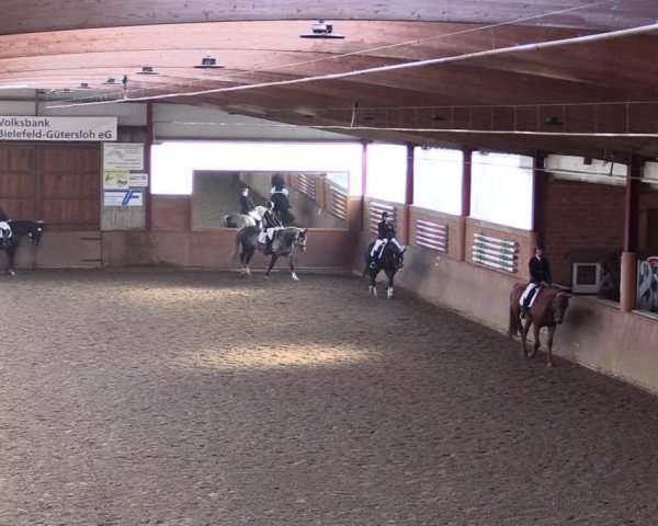 Reitturnier Herzebrock-Rheda 2021