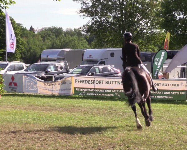 Reitturnier Burgstädt 2024