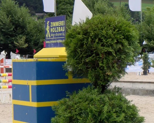 Reitturnier Balsthal 2024