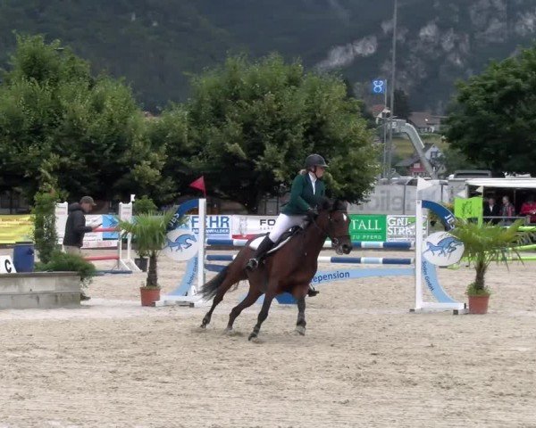 Reitturnier Balsthal 2024