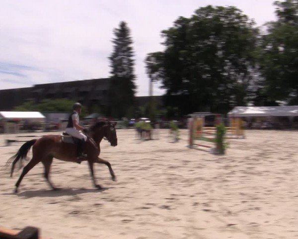 Reitturnier Görlsdorf 2024