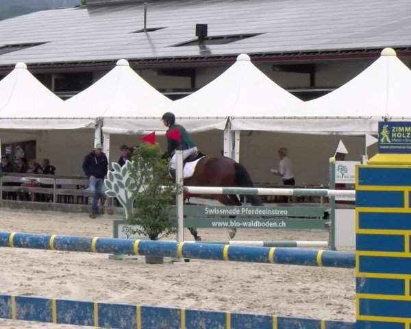 Reitturnier Balsthal 2024