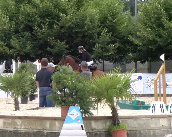 Reitturnier Balsthal 2024