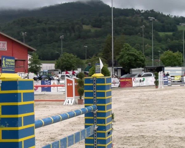 Reitturnier Balsthal 2024