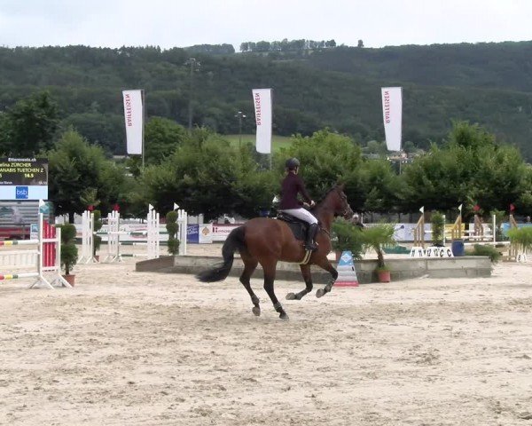 Reitturnier Balsthal 2024