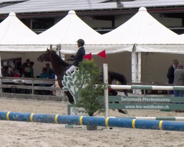Reitturnier Balsthal 2024