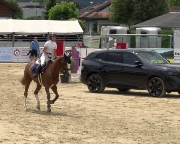 Reitturnier Rankweil 2024
