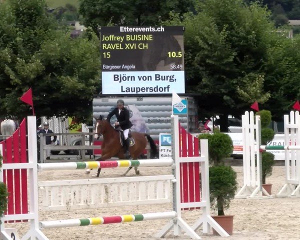 Reitturnier Balsthal 2024