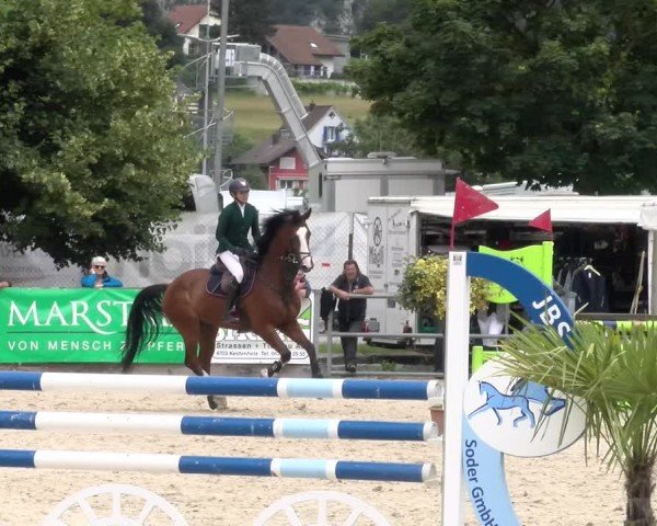Reitturnier Balsthal 2024